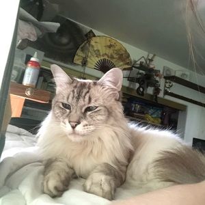 Meet your Posher, R.